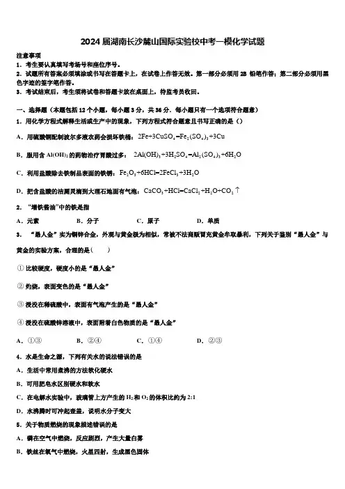 2024届湖南长沙麓山国际实验校中考一模化学试题含解析