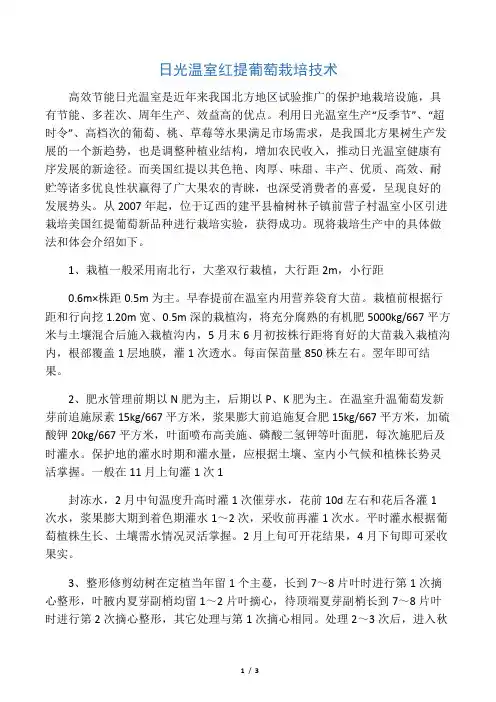 日光温室红提葡萄栽培技术