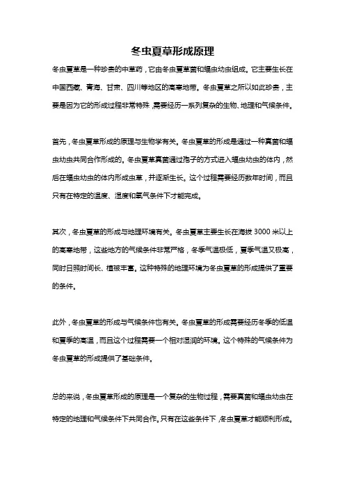 冬虫夏草形成原理