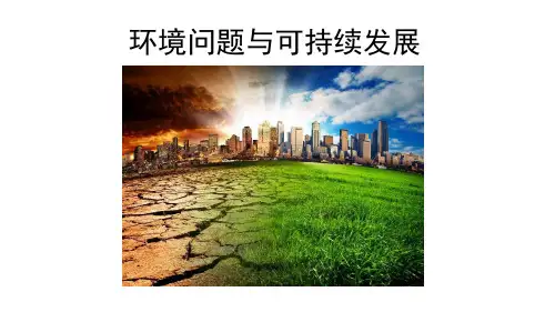 一轮复习环境问题和可持续发展(共28张ppt)