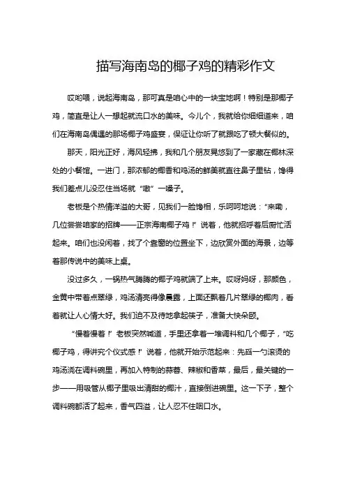 描写海南岛的椰子鸡的精彩作文