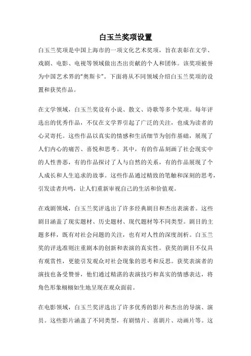 白玉兰奖项设置