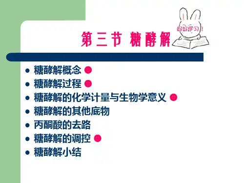 3糖酵解