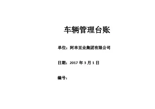 车辆管理台账(1)