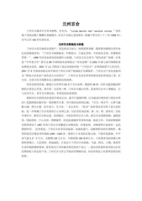 兰州百合