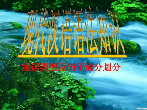 现代汉语语法知识：短语类型及句子成分划分