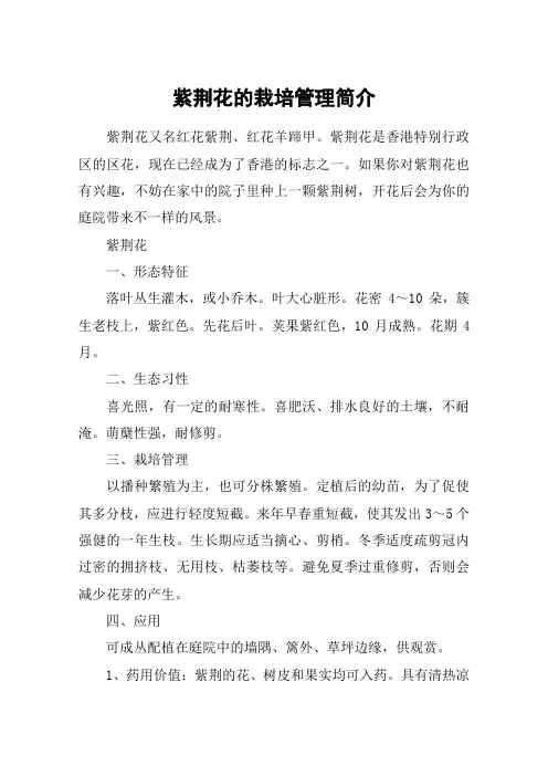 紫荆花的栽培管理简介