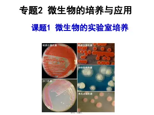 2---1-微生物的实验室培养