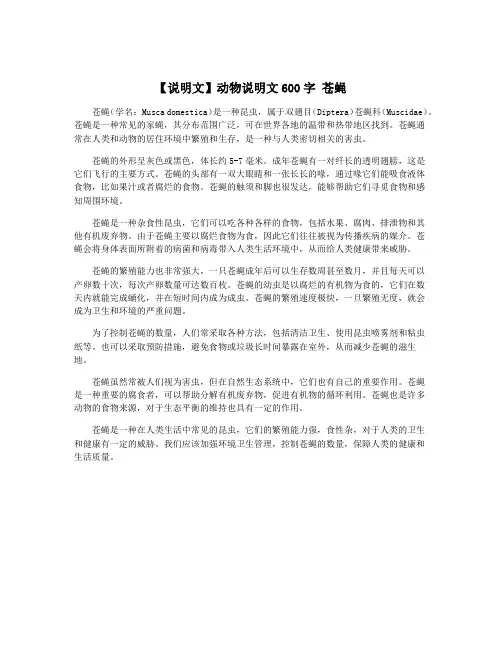 【说明文】动物说明文600字 苍蝇