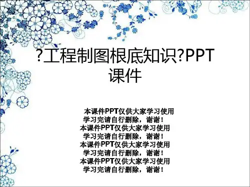 《工程制图基础知识》PPT课件