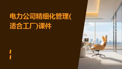电力公司精细化管理(适合工厂)课件