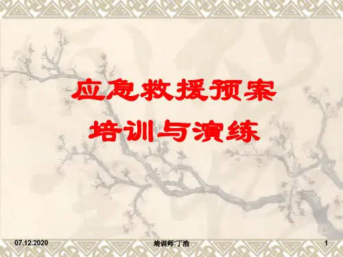 应急救援预案PPT课件