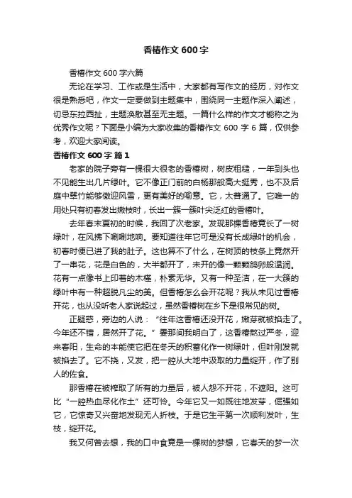 香椿作文600字六篇