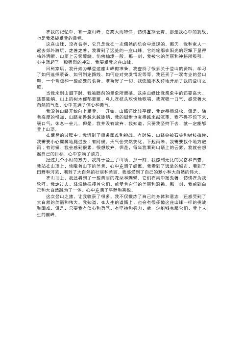 我攀登的山峰之巅
