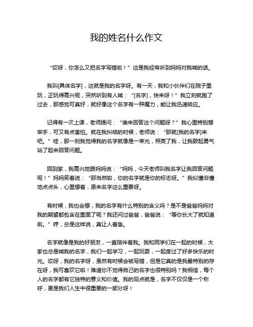 我的姓名什么作文