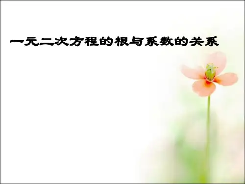 《根与系数关系》PPT