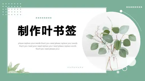 制作叶书签(课件)通用版劳动二年级