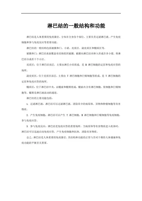 淋巴结的一般结构和功能
