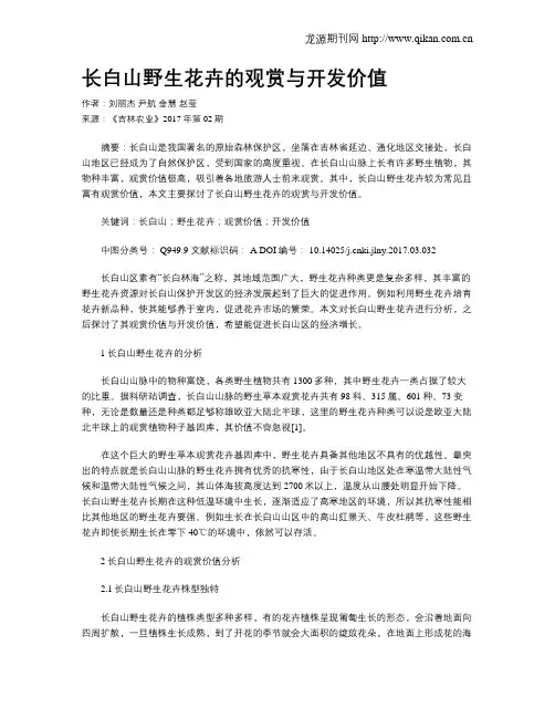 长白山野生花卉的观赏与开发价值