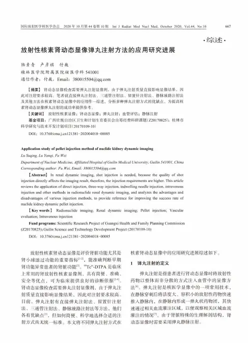 放射性核素肾动态显像弹丸注射方法的应用研究进展
