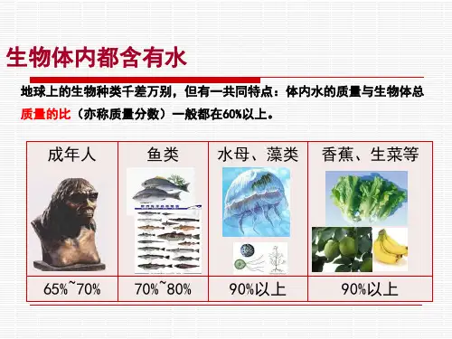 水分子的变化PPT课件1