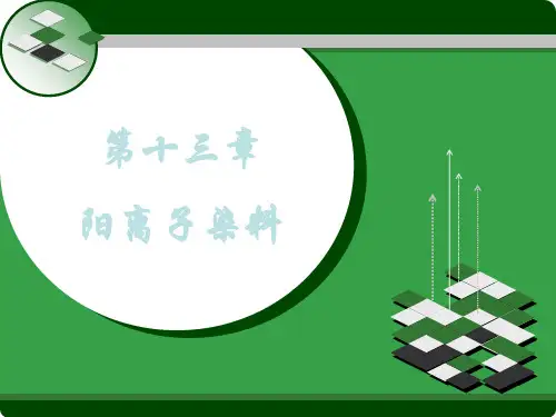 第十一章阳离子染料