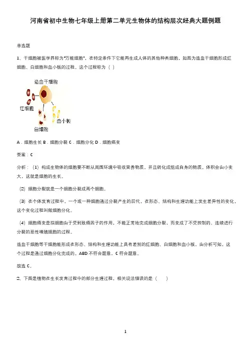 河南省初中生物七年级上册第二单元生物体的结构层次经典大题例题
