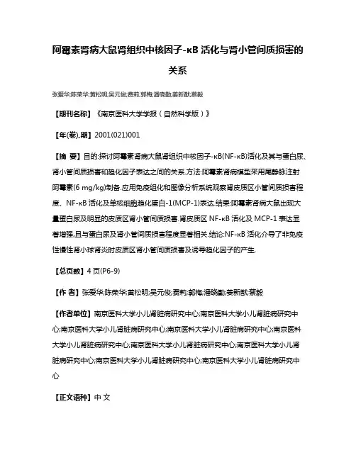 阿霉素肾病大鼠肾组织中核因子-κB活化与肾小管间质损害的关系