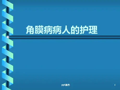 角膜病病人的护理  ppt课件