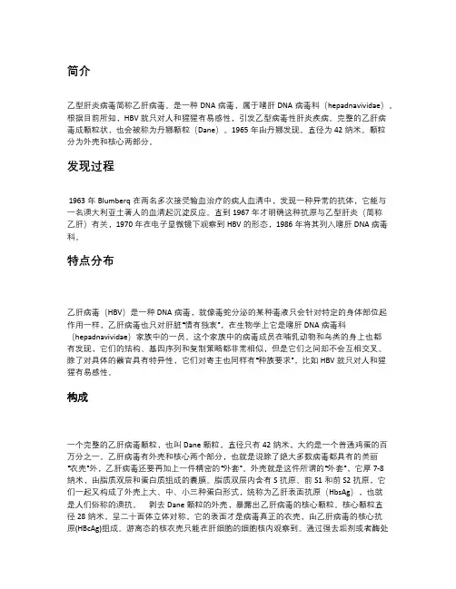 乙肝病毒结构形态