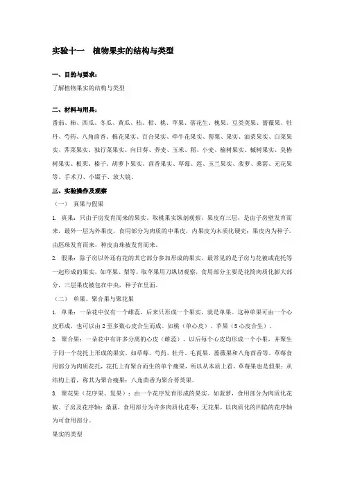 试验十一植物果实的结构与类型
