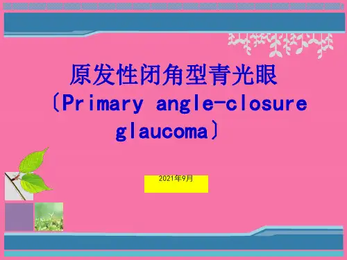 眼科小讲课青光眼ppt课件