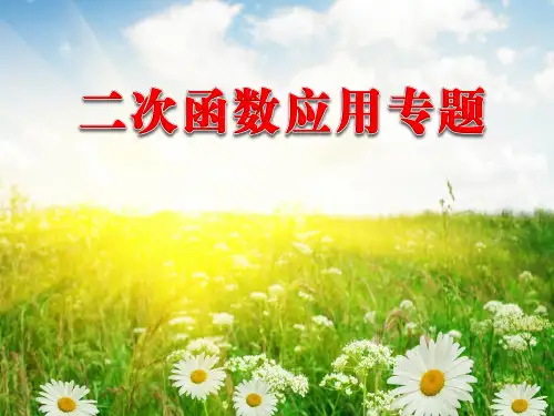 中考数学专题：二次函数应用专题(共17张ppt)