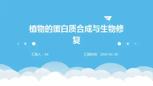 植物的蛋白质合成与生物修复