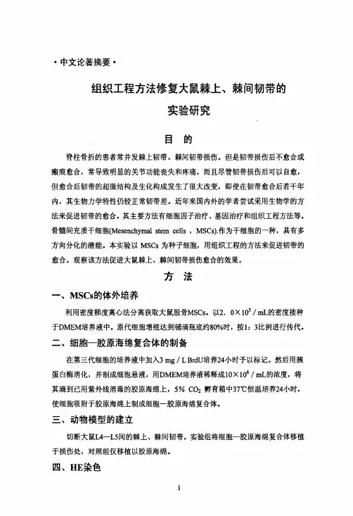 组织工程方法修复大鼠棘上、棘间韧带的实验探究