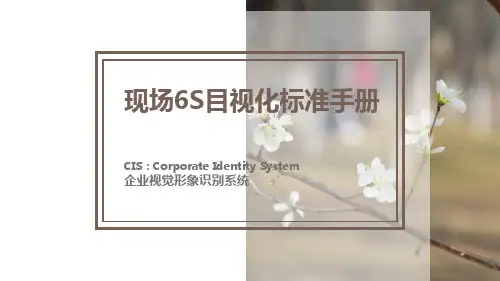 2022-01-14现场6S目视化标准手册