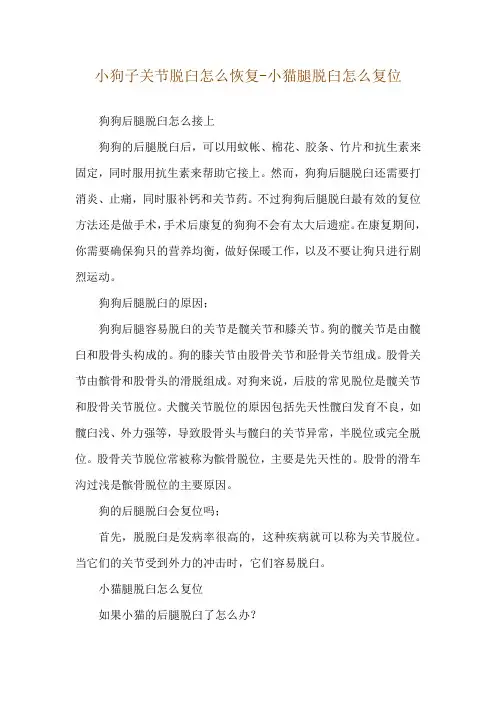 小狗子关节脱臼怎么恢复-小猫腿脱臼怎么复位