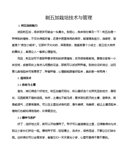 刺五加栽培技术与管理