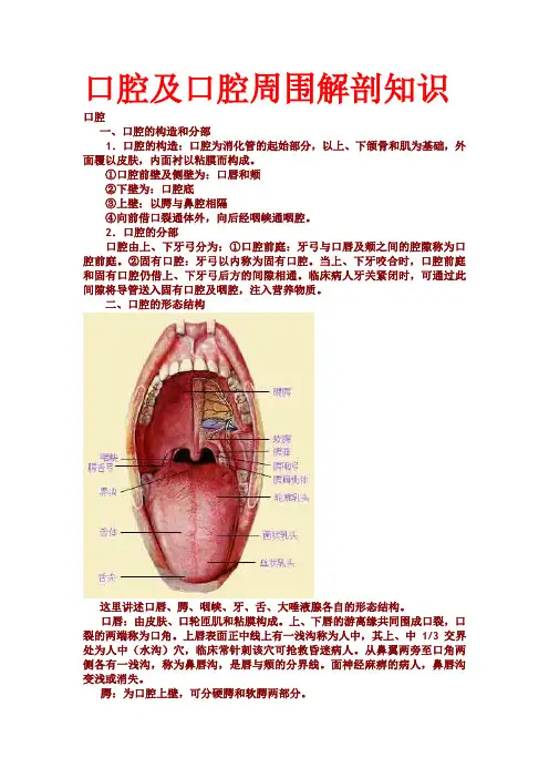 口腔及口腔周围解剖
