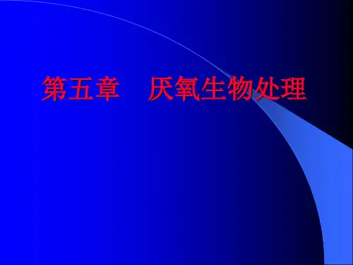 第五章 厌氧生物处理
