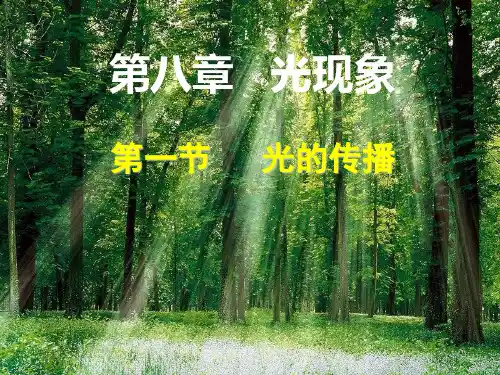 北师大版八年级物理全一册(京版)：8.1 光的传播 课件 (1)