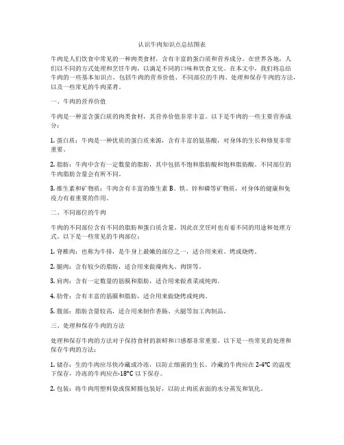认识牛肉知识点总结图表