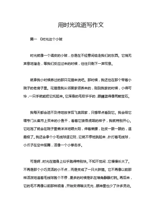 用时光流逝写作文