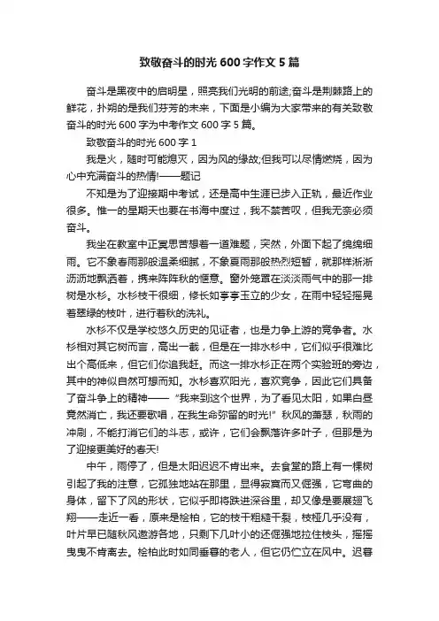 致敬奋斗的时光600字作文5篇