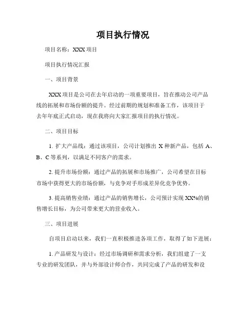 项目执行情况