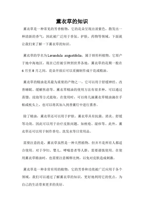 薰衣草的知识