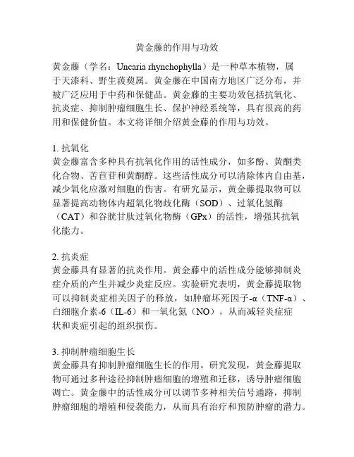黄金藤的作用与功效