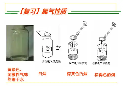 氯水成分与性质的探究