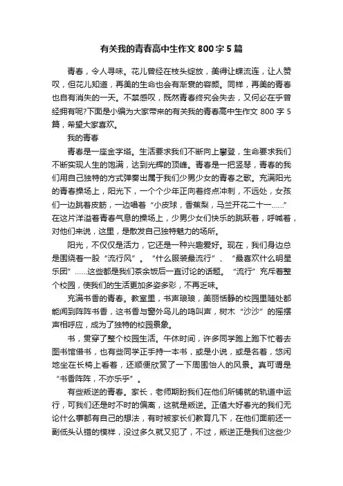 有关我的青春高中生作文800字5篇