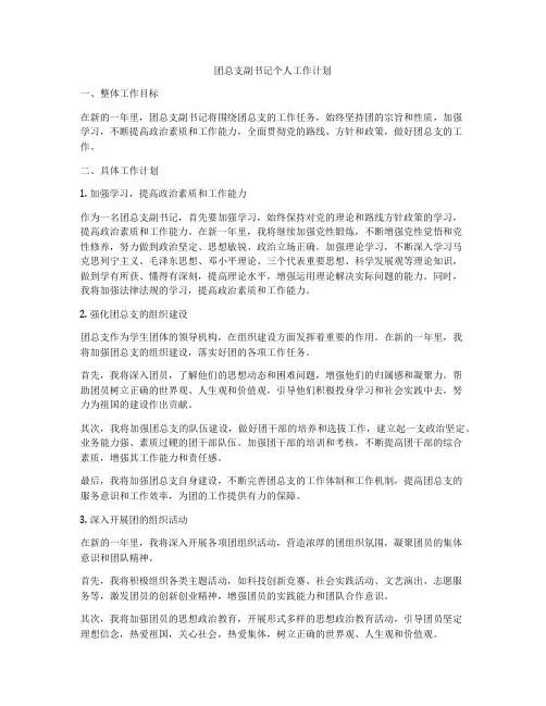 团总支副书记个人工作计划